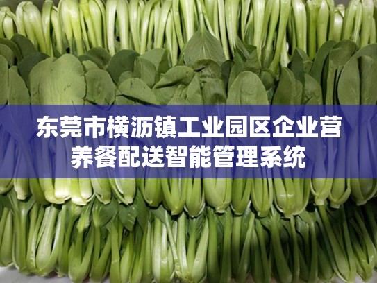 东莞市横沥镇工业园区企业营养餐配送智能管理系统