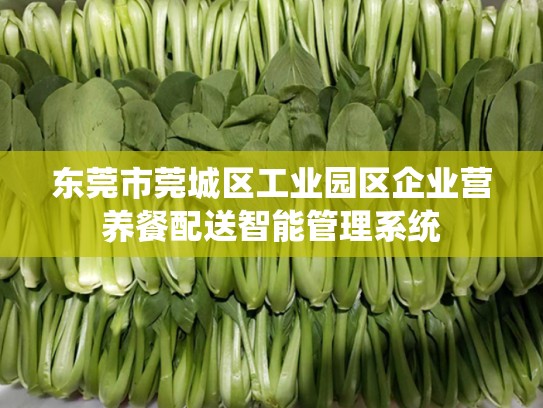 东莞市莞城区工业园区企业营养餐配送智能管理系统