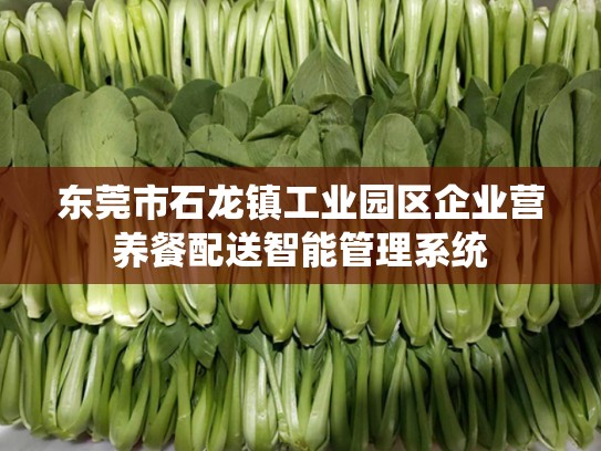 东莞市石龙镇工业园区企业营养餐配送智能管理系统