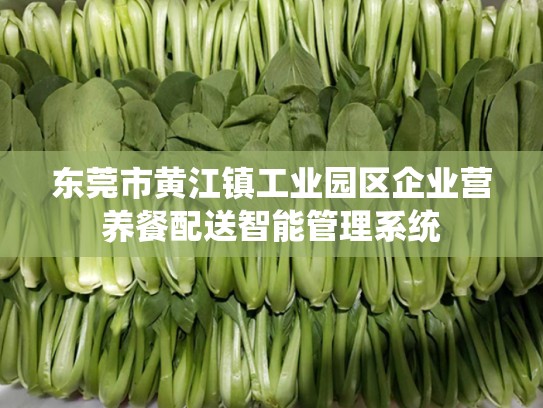 东莞市黄江镇工业园区企业营养餐配送智能管理系统