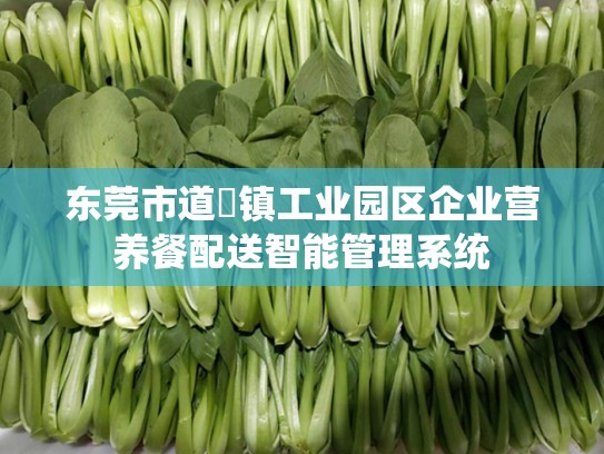 东莞市道滘镇工业园区企业营养餐配送智能管理系统