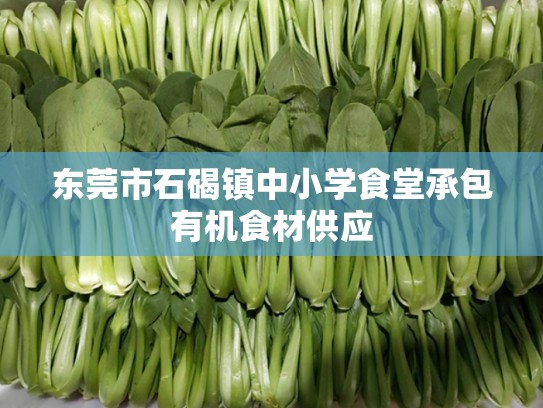 东莞市石碣镇中小学食堂承包有机食材供应