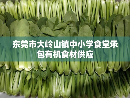 东莞市大岭山镇中小学食堂承包有机食材供应