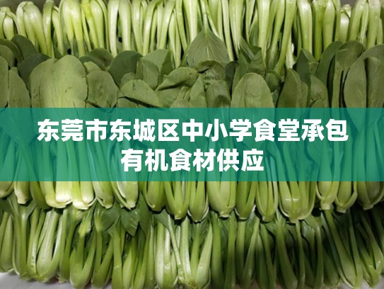 东莞市东城区中小学食堂承包有机食材供应