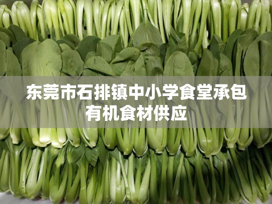 东莞市石排镇中小学食堂承包有机食材供应