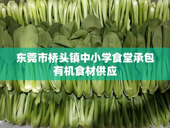 东莞市桥头镇中小学食堂承包有机食材供应