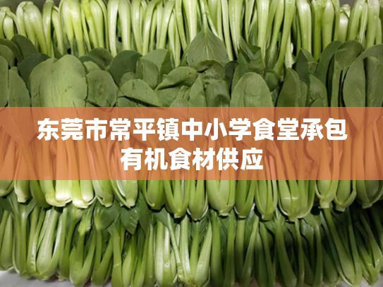 东莞市常平镇中小学食堂承包有机食材供应