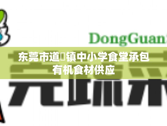东莞市道滘镇中小学食堂承包有机食材供应