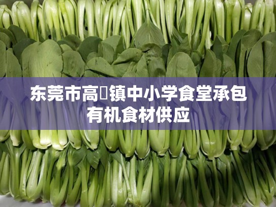 东莞市高埗镇中小学食堂承包有机食材供应