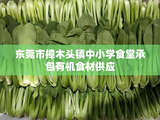 东莞市樟木头镇中小学食堂承包有机食材供应
