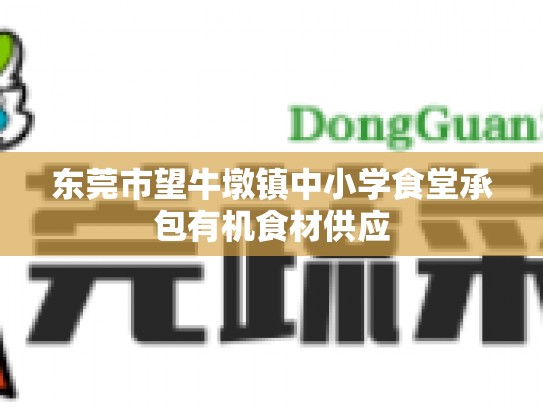 东莞市望牛墩镇中小学食堂承包有机食材供应