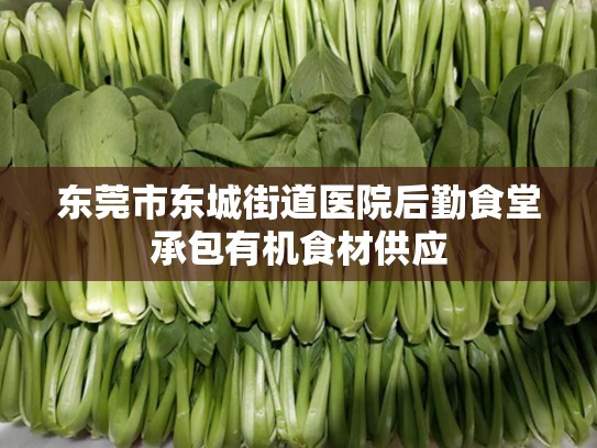 东莞市东城街道医院后勤食堂承包有机食材供应
