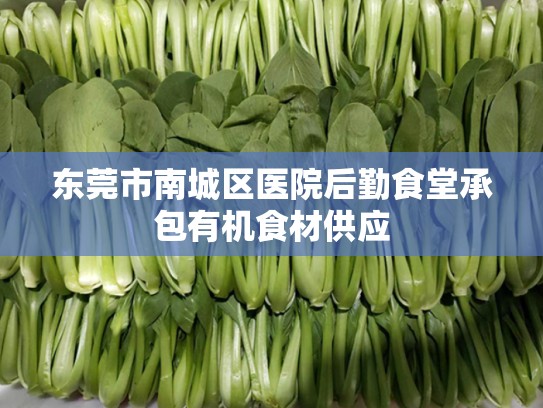 东莞市南城区医院后勤食堂承包有机食材供应