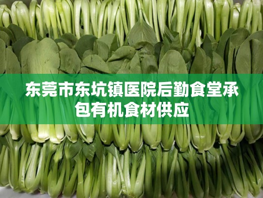 东莞市东坑镇医院后勤食堂承包有机食材供应