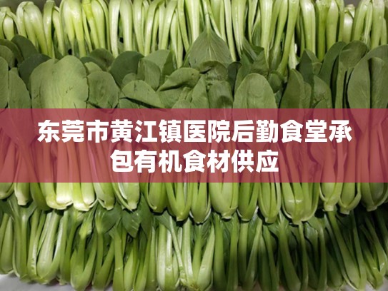 东莞市黄江镇医院后勤食堂承包有机食材供应