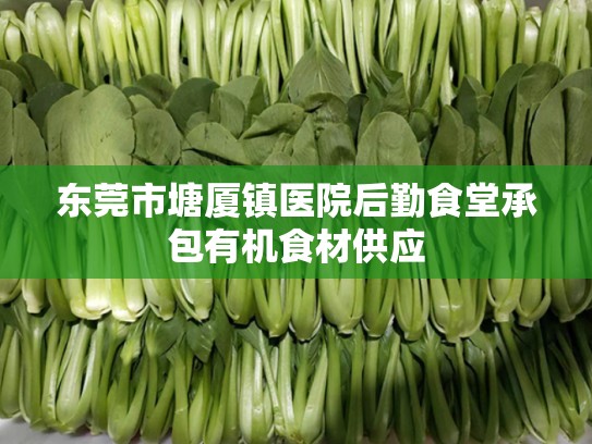 东莞市塘厦镇医院后勤食堂承包有机食材供应