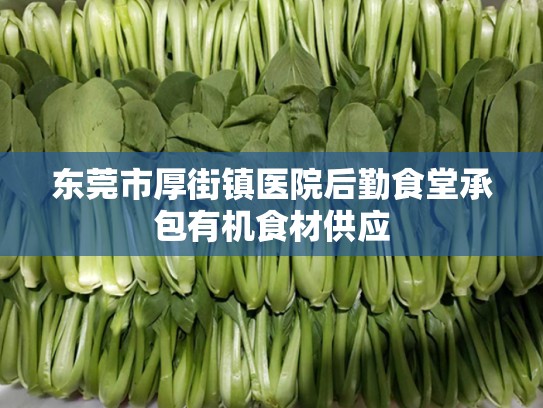 东莞市厚街镇医院后勤食堂承包有机食材供应