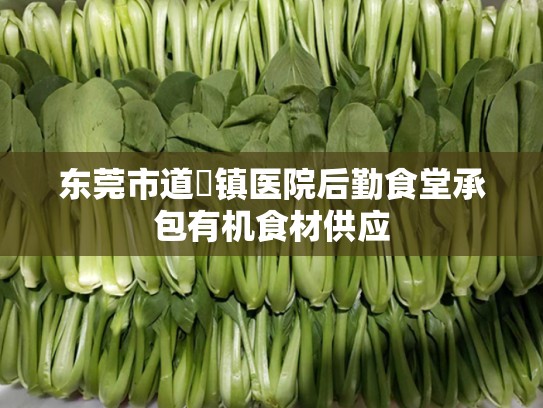 东莞市道滘镇医院后勤食堂承包有机食材供应