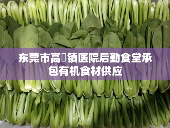 东莞市高埗镇医院后勤食堂承包有机食材供应
