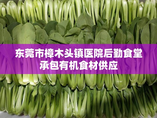 东莞市樟木头镇医院后勤食堂承包有机食材供应