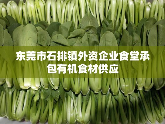 东莞市石排镇外资企业食堂承包有机食材供应