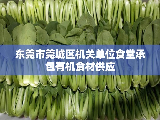 东莞市莞城区机关单位食堂承包有机食材供应