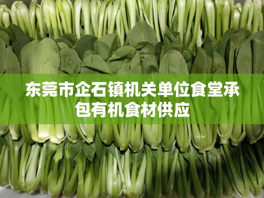东莞市企石镇机关单位食堂承包有机食材供应