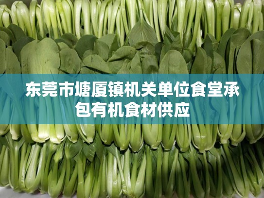 东莞市塘厦镇机关单位食堂承包有机食材供应
