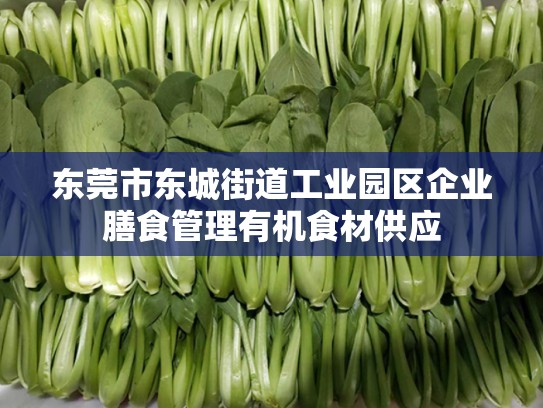 东莞市东城街道工业园区企业膳食管理有机食材供应