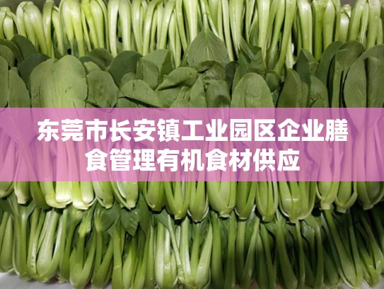 东莞市长安镇工业园区企业膳食管理有机食材供应
