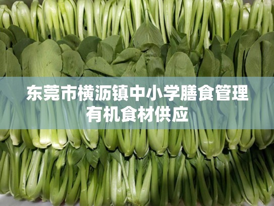 东莞市横沥镇中小学膳食管理有机食材供应