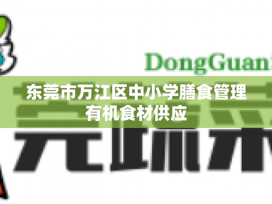 东莞市万江区中小学膳食管理有机食材供应