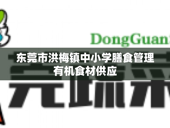 东莞市洪梅镇中小学膳食管理有机食材供应