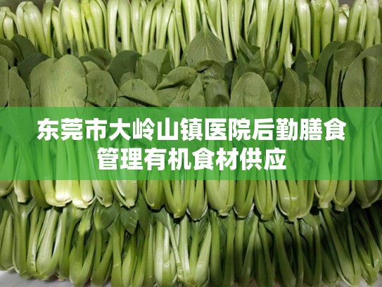 东莞市大岭山镇医院后勤膳食管理有机食材供应