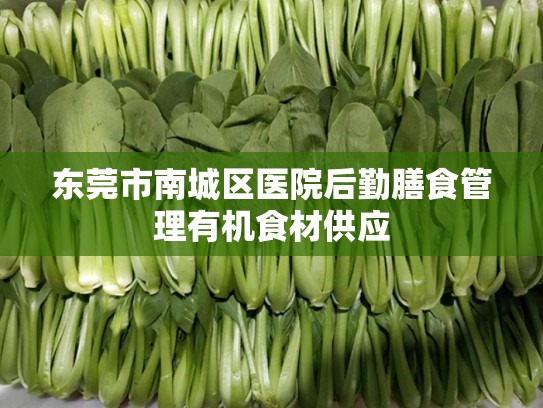东莞市南城区医院后勤膳食管理有机食材供应