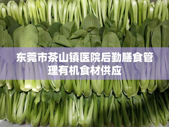 东莞市茶山镇医院后勤膳食管理有机食材供应