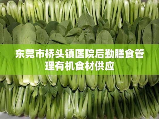 东莞市桥头镇医院后勤膳食管理有机食材供应