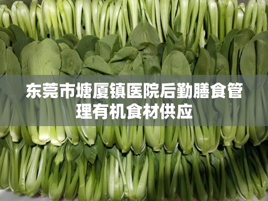 东莞市塘厦镇医院后勤膳食管理有机食材供应