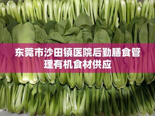 东莞市沙田镇医院后勤膳食管理有机食材供应