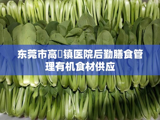 东莞市高埗镇医院后勤膳食管理有机食材供应