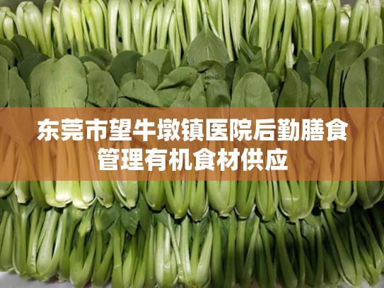 东莞市望牛墩镇医院后勤膳食管理有机食材供应