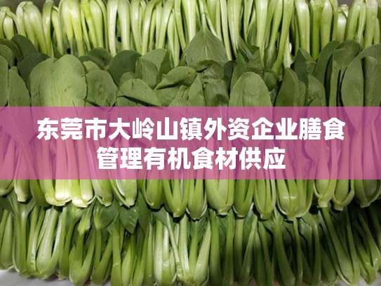 东莞市大岭山镇外资企业膳食管理有机食材供应