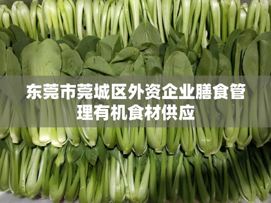 东莞市莞城区外资企业膳食管理有机食材供应