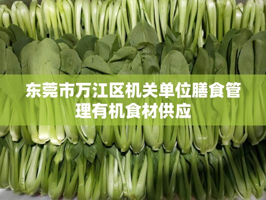 东莞市万江区机关单位膳食管理有机食材供应
