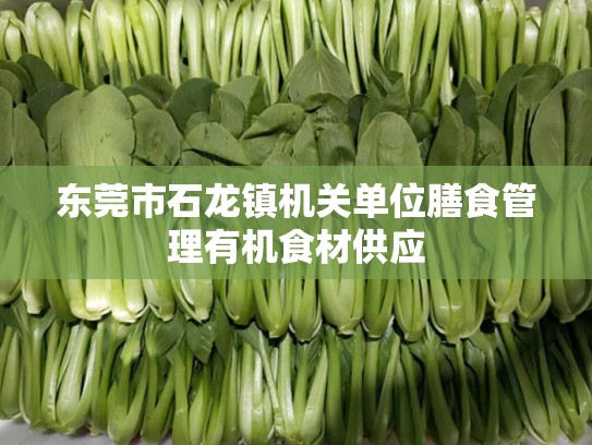 东莞市石龙镇机关单位膳食管理有机食材供应