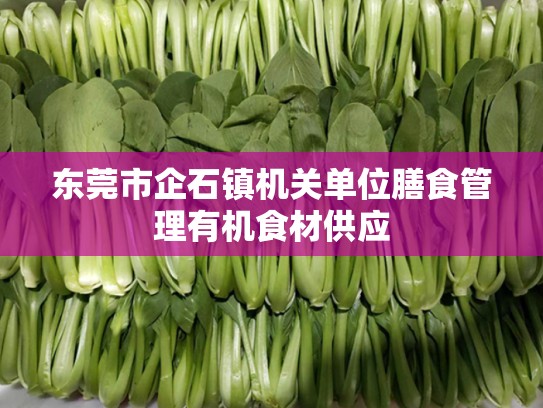 东莞市企石镇机关单位膳食管理有机食材供应
