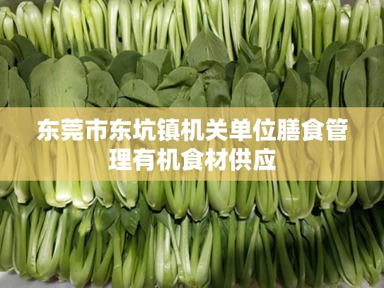 东莞市东坑镇机关单位膳食管理有机食材供应