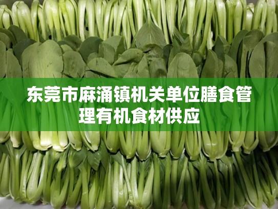 东莞市麻涌镇机关单位膳食管理有机食材供应