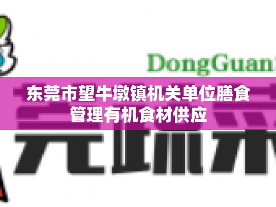 东莞市望牛墩镇机关单位膳食管理有机食材供应