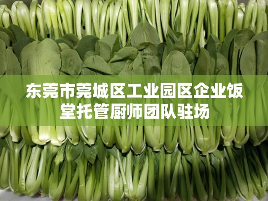 东莞市莞城区工业园区企业饭堂托管厨师团队驻场